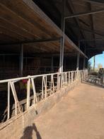 Voerhekken voor stal, hekken en vanghok buizen, Ophalen of Verzenden, Tot 1 ha, Melkveehouderij