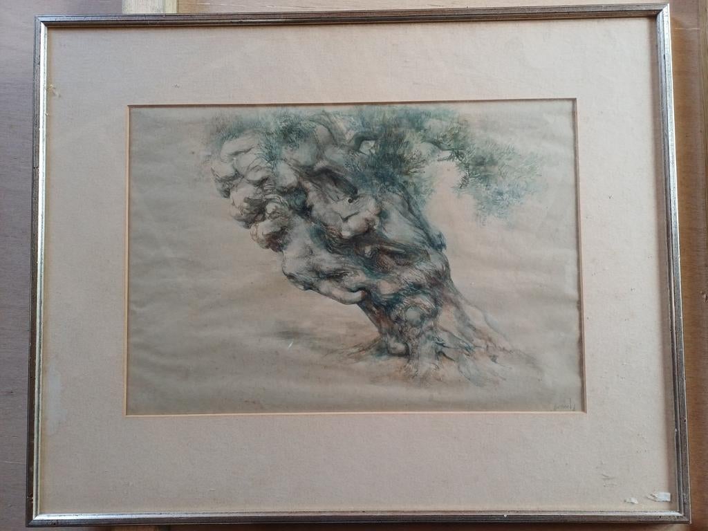 Olijfboom Gemengde Techniek Gesigneerd € 15, Ophalen