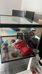 Hamsterkooi/terrarium, Ophalen of Verzenden, Gebruikt, Hok, Hamster