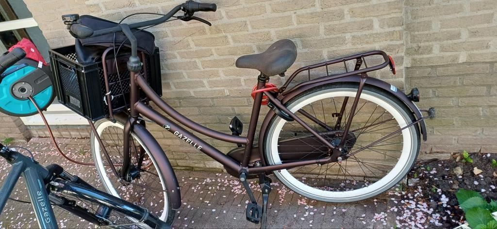 Gazelle damesfiets met voordrager en mand, Terugtraprem, Gebruikt, Gazelle, 56 cm of meer