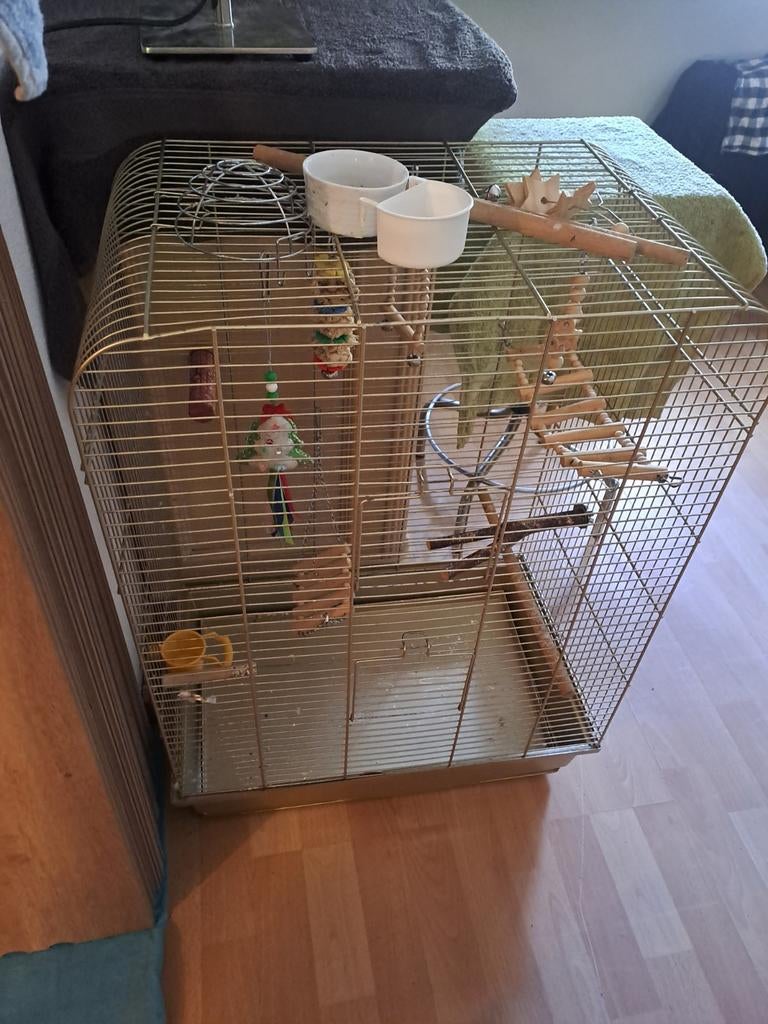 Gouden vogel kooi, Ophalen