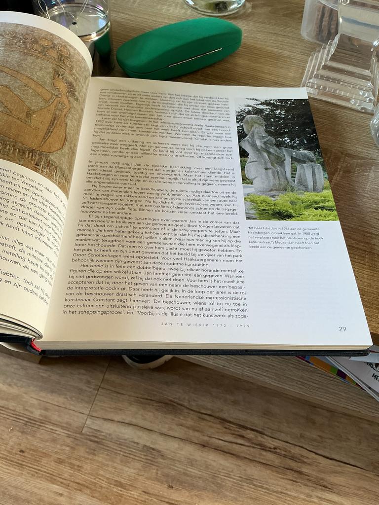 Boek Jan te Wierik, Ophalen of Verzenden, Gelezen