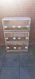 Kweekkooi met 4 jonge diamantduifjes., Ophalen of Verzenden, Broedkooi of Kweekkooi