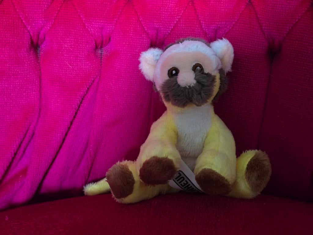 Apenheul doodshoofdaapje knuffel, Overige merken, Ophalen of Verzenden, Zo goed als nieuw, Wasbaar