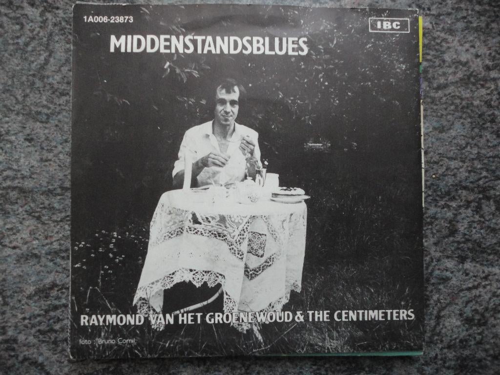 Raymond van het Groenewoud-Middenstandsblues NL1979 FH, Gebruikt, Fotohoes, 7 inch, Single