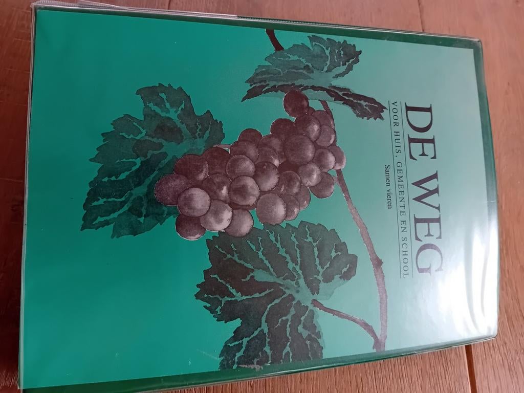 Godsdienstmethode De Weg Ds.M.L.de Boer, Ophalen of Verzenden, Gelezen, Ds.M.L.de Boer, Christendom | Protestants