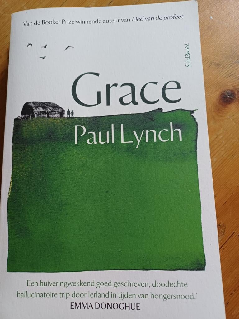 Paul Lynch - Grace, Boeken, Literatuur, Zo goed als nieuw, Ophalen of Verzenden