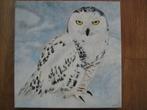 Sneeuw uil (40 x 40 cm), Ophalen, Minder dan 50 cm, Oorspronkelijke maker, Nieuw