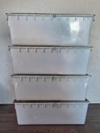 4x Labbak T4 in gebruikte nette en schone staat incl. Bottle, Dieren en Toebehoren, Minder dan 60 cm, Gebruikt, Overige typen