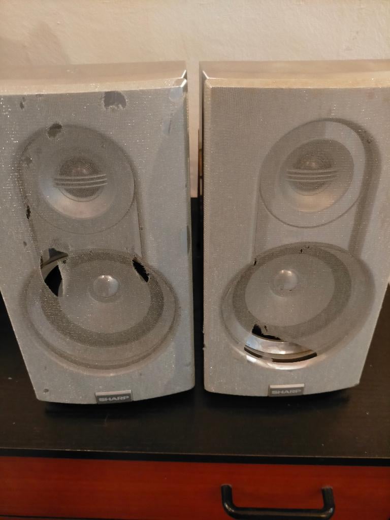 2 sharp speakers, Overige merken, Gebruikt, Ophalen of Verzenden, Minder dan 60 watt