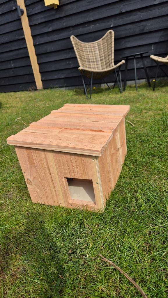 Egelhuis met WiFi camera, Dieren en Toebehoren, Minder dan 60 cm, Ophalen of Verzenden, Hok, Minder dan 75 cm