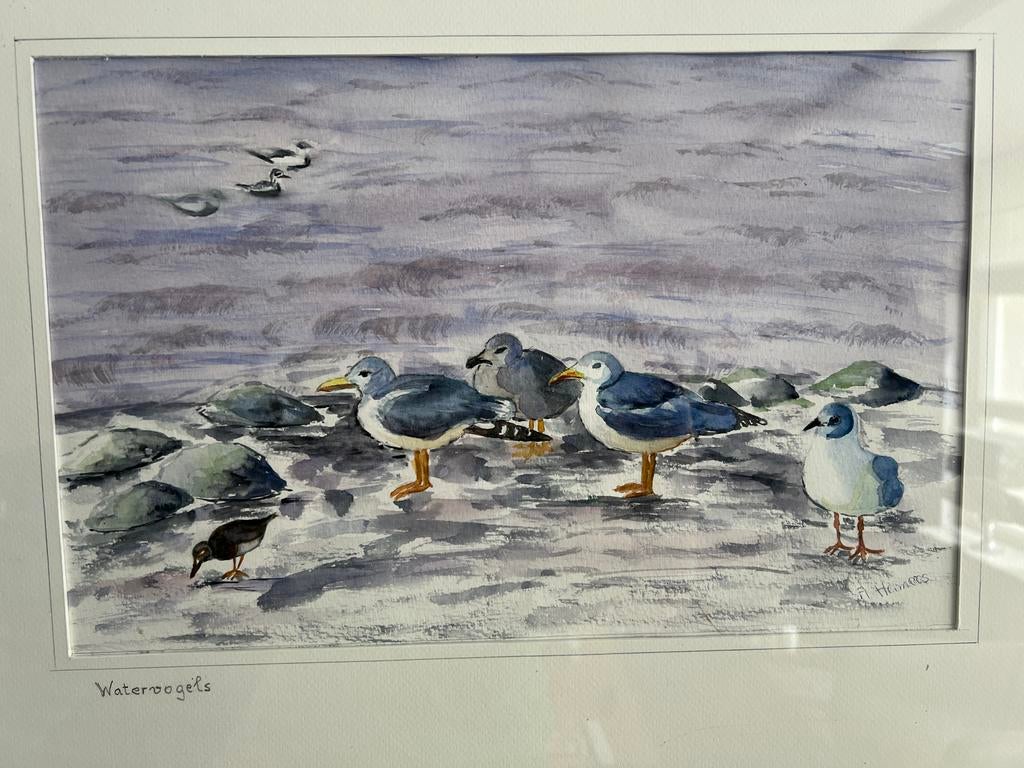 Aquarel van watervogels, Ophalen of Verzenden