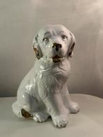 Hond xxl, Verzamelen, Ophalen of Verzenden, Gebruikt, Dier