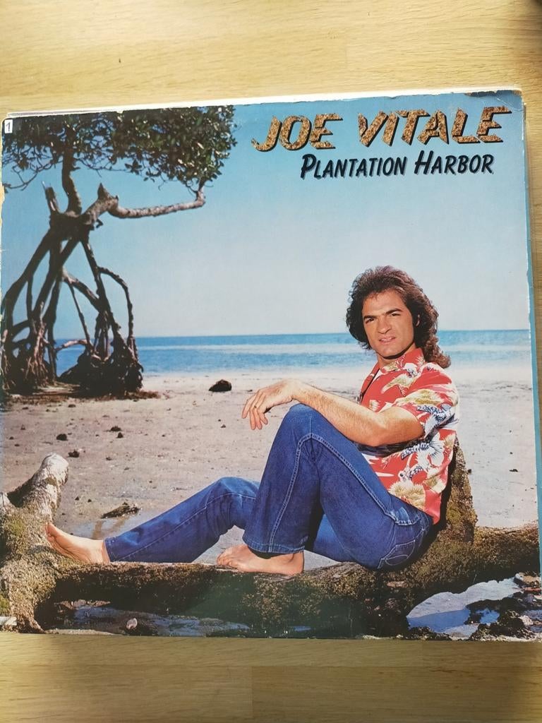Joe Vitale , plantation harbor, Ophalen of Verzenden, Zo goed als nieuw, 12 inch