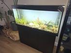 Juwel Aquarium 240L met JBL, CO2 Set en Toebehoren!, Dieren en Toebehoren, Ophalen, Gebruikt, Overige typen