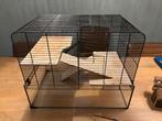 Hamsterkooi met veel accessoires, Kooi, Minder dan 75 cm, Zo goed als nieuw, Ophalen
