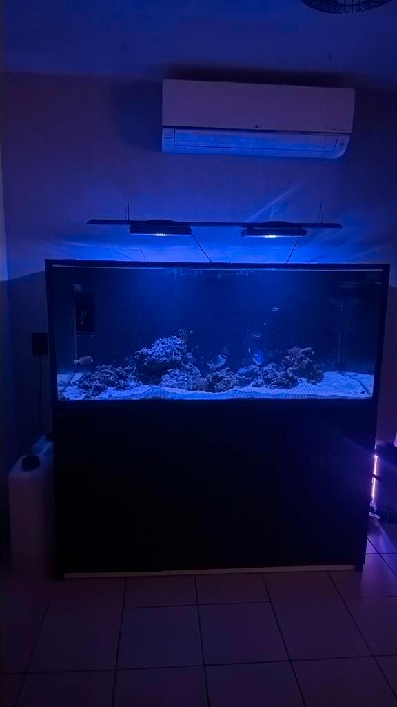 Red sea reefer-s 700 g2+ - leeg aquarium met top lids + ATO, Witgoed en Apparatuur, Zonnebanken en Gezichtsbruiners, Zo goed als nieuw