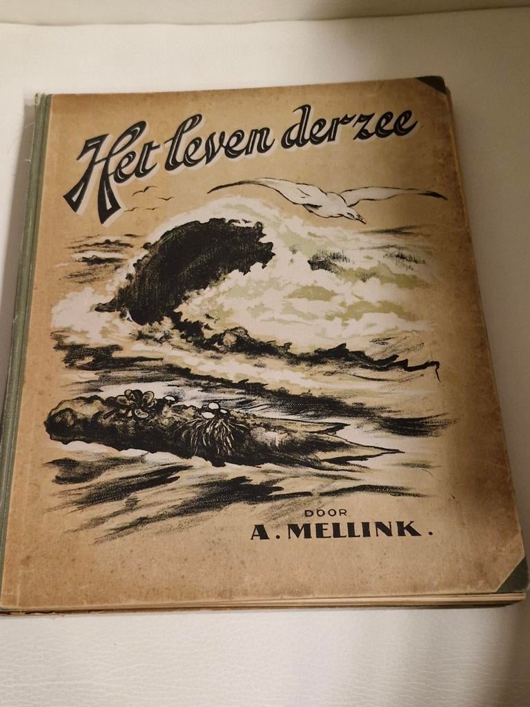 Het leven der zee - Album door A. Mellink, Ophalen of Verzenden, Gelezen