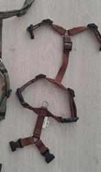 Honden tuigje anny x (xxs), Ophalen of Verzenden, Nieuw, Overige kleuren, Armband