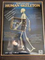 Skelet. Bouwpakket skelet., Ophalen of Verzenden, Nieuw, Meerdere media