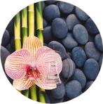 Wenko Wandhaak Uno Static-loc 8,5 Cm Transparant, Ophalen of Verzenden, Nieuw