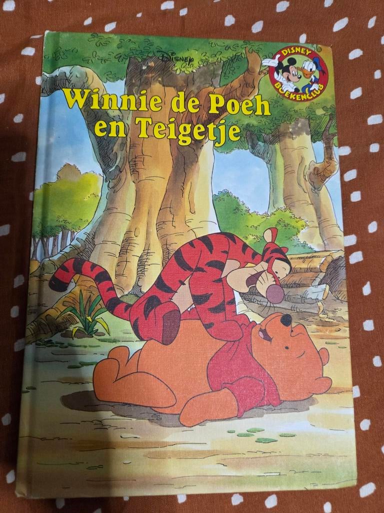 Winnie de Poeh en Teigetje, Boeken, Ophalen of Verzenden