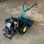 Tuinfrees Bertolini met Lombardini diesel, Ophalen, Gebruikt, Overige soorten, Bertolini