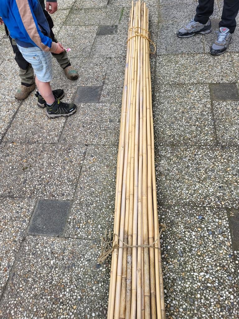 51 bonenstokken  lengte:280 cm dikte +-20 mm, Ophalen, Zo goed als nieuw, 250 cm of meer, Overige typen