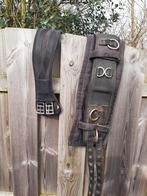 Longeersingel, Dieren en Toebehoren, Ophalen of Verzenden, Overige soorten