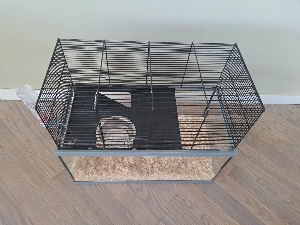 Ferplast Domster 80 - Hamsterkooi - Wit - 50x56x56 cm