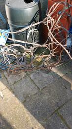 Arreslee met rendier, Ophalen of Verzenden