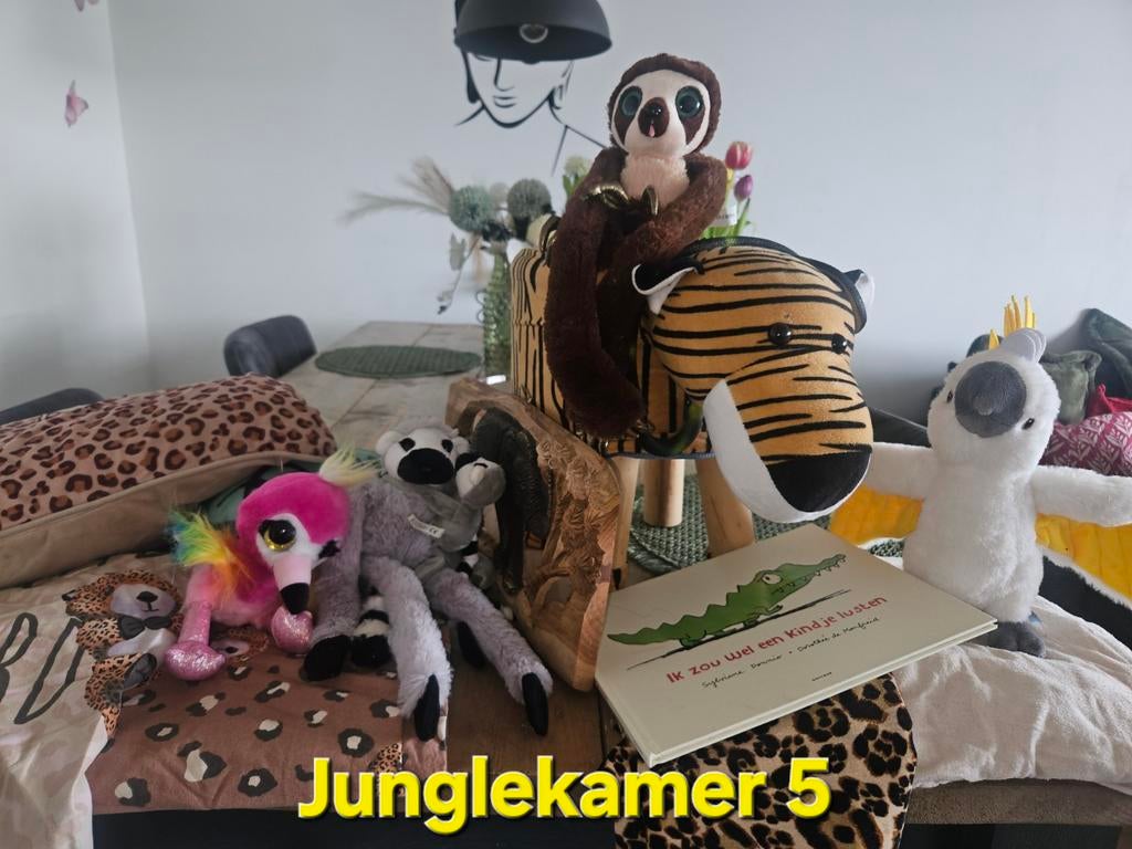 Stoer Pakket Jungle 5 €15,00, Ophalen of Verzenden, Zo goed als nieuw, Jongen of Meisje