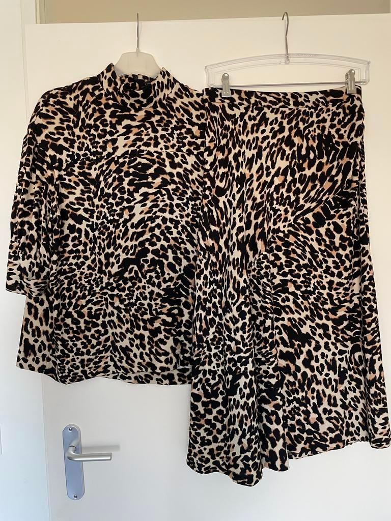 Prachtige setje rok en top met panterprint van Zara maat S, Zwart, Ophalen of Verzenden, Zo goed als nieuw, Maat 36 (S)