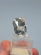 Rankiet-(Ce) - Bortolan Quarry, Minas Gerais, Brazilië, Ophalen of Verzenden, Mineraal