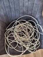 Unikon kabel, Geslacht onbekend, Postduif