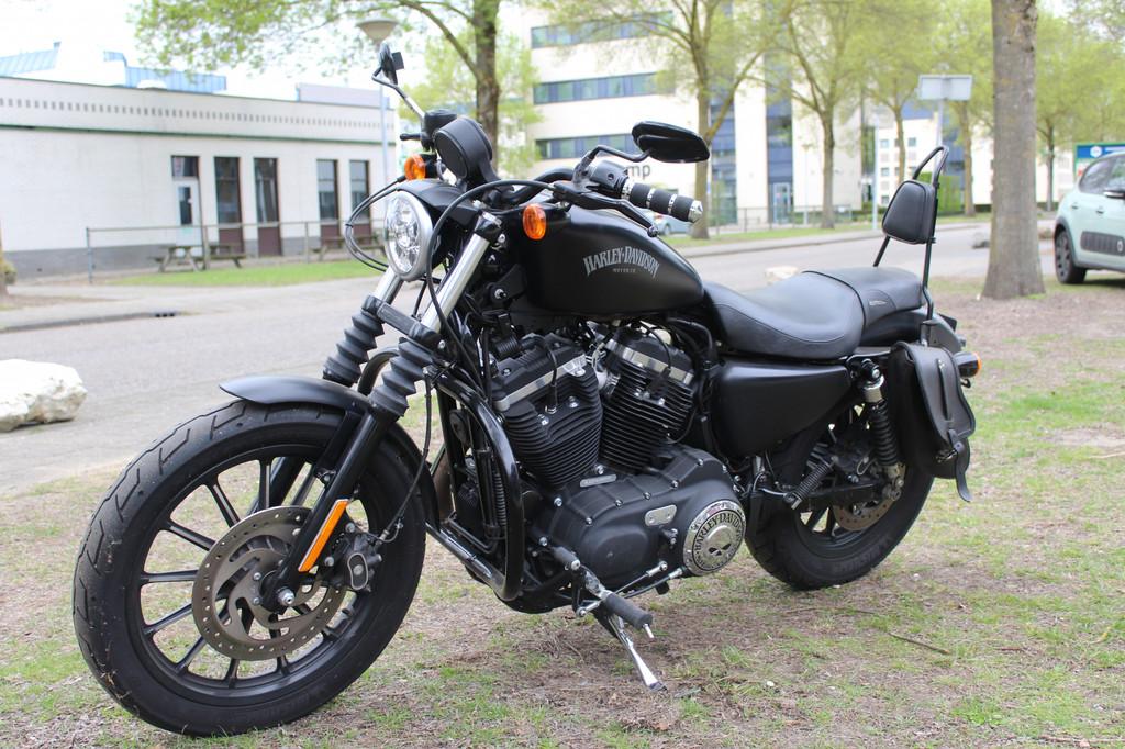 Harley-Davidson Sportster XL 883 883 Iron Sportster, Motoren, Motoren | Harley-Davidson, Chopper, Bedrijf, 883 cc, Meer dan 35 kW