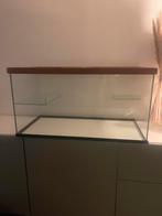 Hamster kooi/terrarium, Kooi, Zo goed als nieuw, Hamster, 75 tot 110 cm