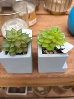 Kunstplanten, Ophalen, Halfschaduw, Minder dan 100 cm