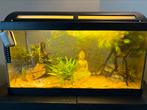 Compleet Zoetwater aquarium 55 liter (603030), Ophalen, Zo goed als nieuw, Gevuld zoetwateraquarium