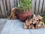 Haardhoud, gedroogd eiken, Tuin en Terras, Haardhout, Minder dan 3 m³, Ophalen, Blokken