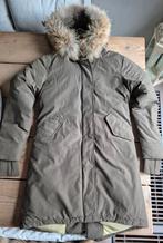 Airforce fishtail parka groengrijs XS, Kleding | Dames, Jassen | Winter, Airforce, Ophalen of Verzenden, Zo goed als nieuw, Maat 34 (XS) of kleiner