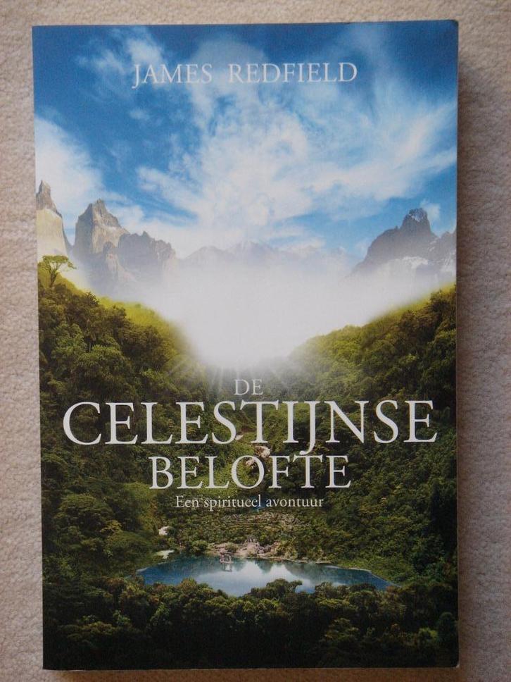 De Celestijnse Belofte - James Redfield, Boeken, Esoterie en Spiritualiteit, Gelezen, Verhaal of Roman, Spiritualiteit algemeen