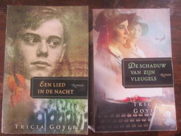 Tricia Goyer De schaduw vleugels/een lied in de nacht beschikbaar voor biedingen