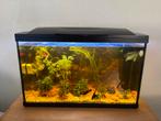 Superfish 100, Dieren en Toebehoren, Vissen | Aquaria en Toebehoren, Ophalen, Zo goed als nieuw, Leeg aquarium