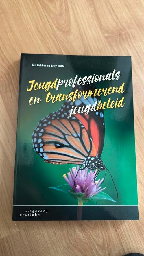 Jeugdprofessionals en transformerend jeugdbeleid, Boeken, Advies, Hulp en Training, Zo goed als nieuw, Verzenden