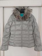 PHARD zilver/grijskleurige winterjas maat S, Ophalen of Verzenden, Zo goed als nieuw, Maat 38/40 (M), Grijs