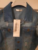 Nieuw Spijker Gilet Meisje Maat 128, Ophalen of Verzenden, Nieuw, Meisje, Trui of Vest