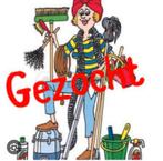 Huishoudelijke hulp gezocht in Kerkdriel, Diensten en Vakmensen, Huishoudelijke hulp