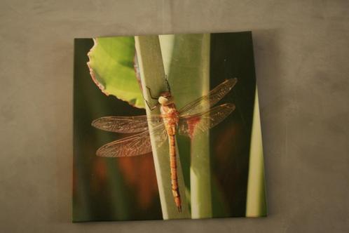 2 x schilderij fotoprint, Huis en Inrichting, Woonaccessoires | Schilderijen, Tekeningen en Foto's, Zo goed als nieuw, Overige typen