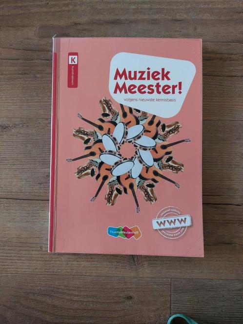 Rinze van der Lei - Muziek Meester!, Boeken, Schoolboeken, Gelezen, Muziek, Overige niveaus, Ophalen of Verzenden